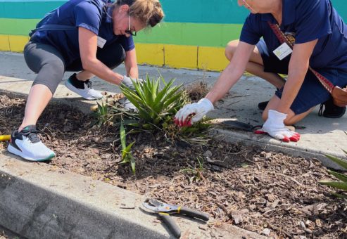 Two women are taking part in a CSR Team Building program. They are crouched on the ground, gardening and pulling weeds along a sidewalk. They are both wearing blue shirts and white gloves while working in a flowerbed. Behind them is a colorful wall painted in bright horizontal stripes of blue, purple, yellow, green, and more, adding a vibrant backdrop to their activity.