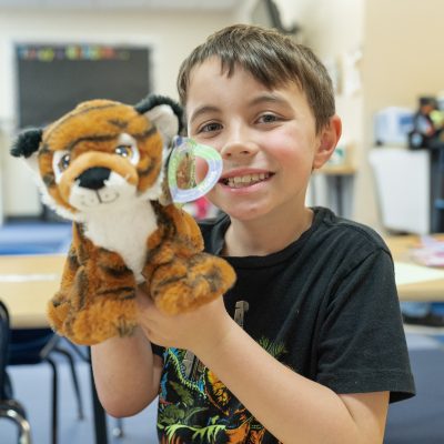 Featured Image For Team Endangered Animal Mission Team Building Event